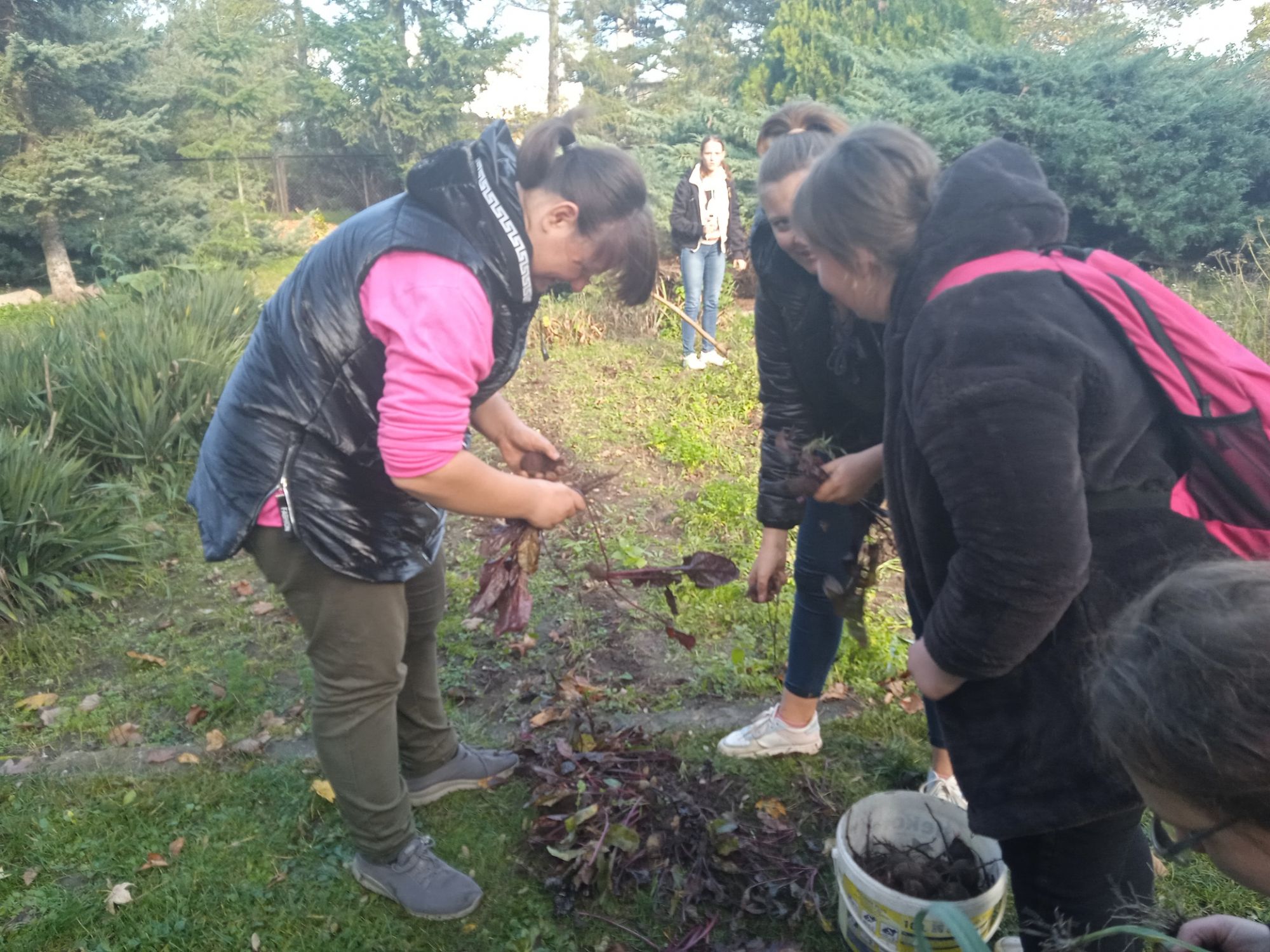 Jesienne zbiory warzyw ze szkolnego ogr&oacute;dka